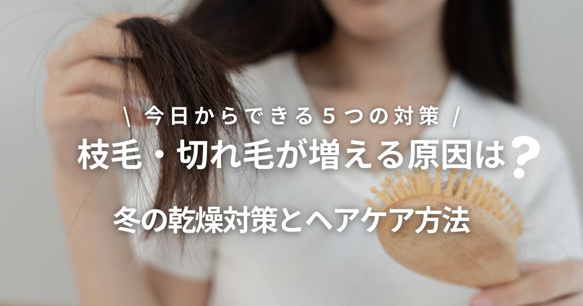 枝毛・切れ毛が増える原因は?冬の乾燥対策とヘアケア方法を解説